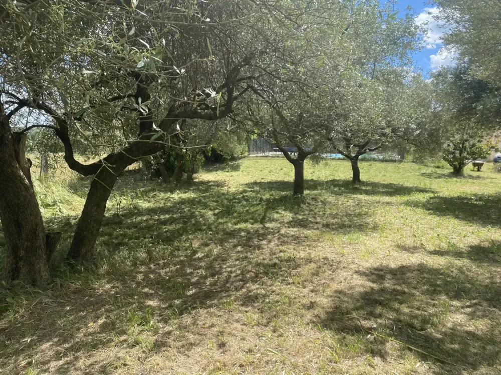 Élagage près de Uzès